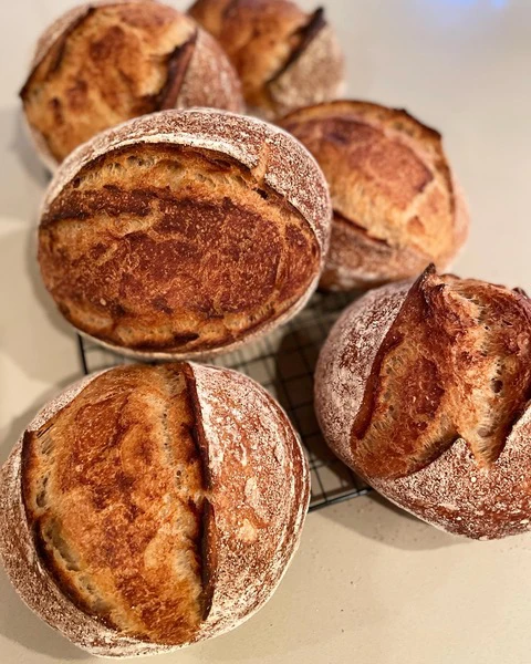 Freshly baked round loaves of bread with crusty tops resting on a cooling rack.